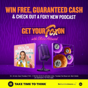 foxybingobanner2