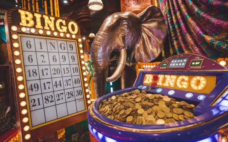 Bingo India