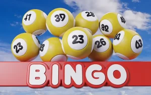 indian bingo game