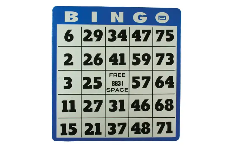 Pay Bingo