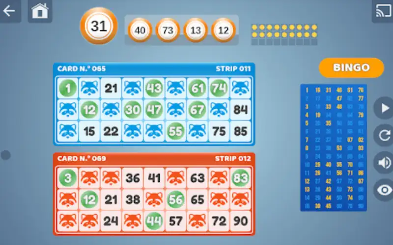 Pay Bingo App