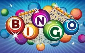 Pay Bingo App